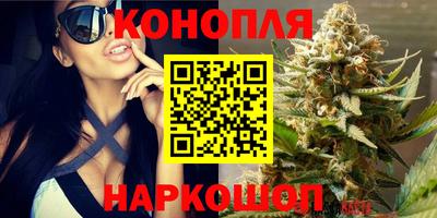 ALPHA-PVP Гатчина