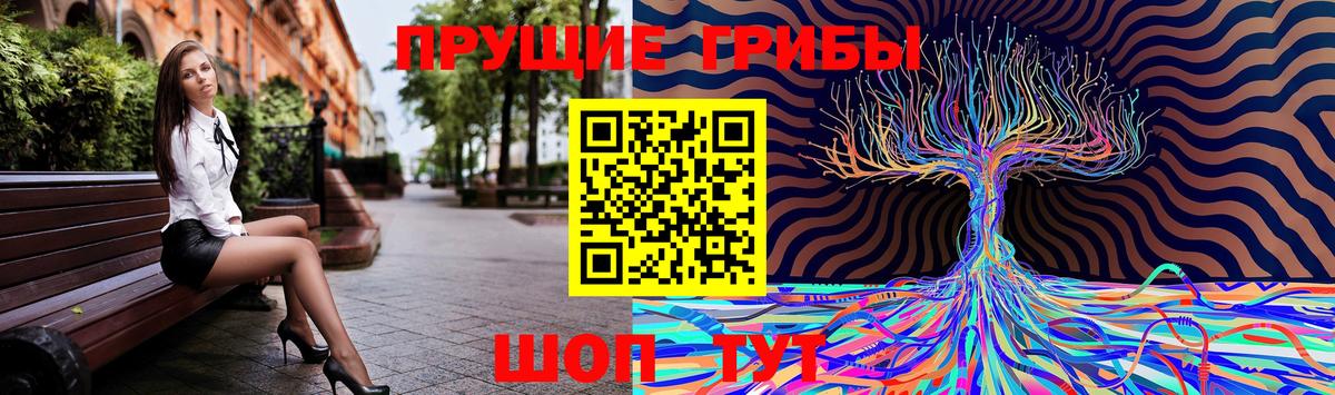 Галлюциногенные грибы Psilocybe  Вход с VPN  Чита 